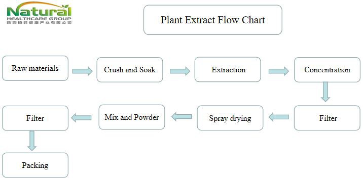 flow chat
