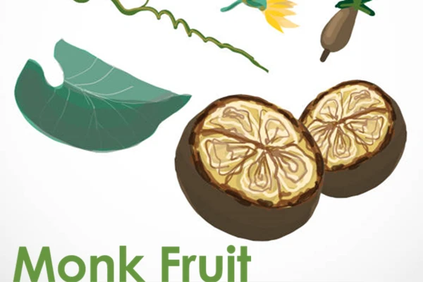 Monk Fruit Mogroside Monk Fruit Mogroside