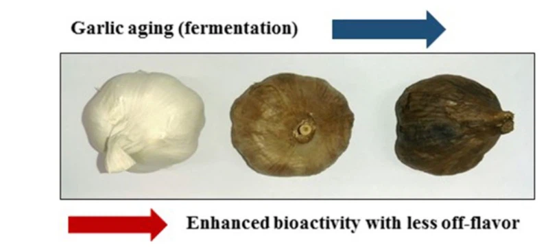 Black garlic extract Black garlic extract